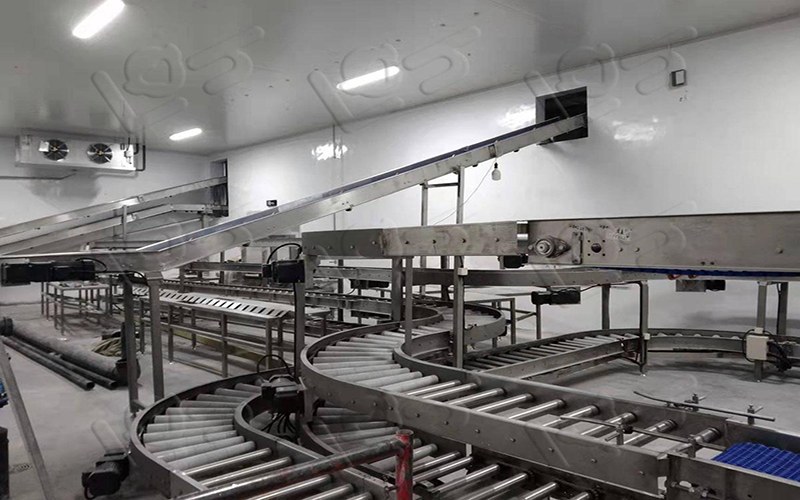 冠猴智能滾筒輸送線：以整廠設計，推動食品工業物流變革